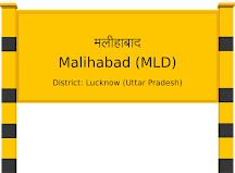 malihabad news